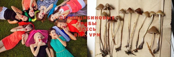 эйфоретик Баксан