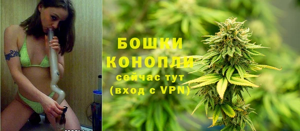 гидропоника Балабаново